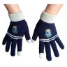 Рукавички Гаррі Поттер Рейвенкло Harry Potter Ravenclaw gloves Рукавички Гаррі Поттер Рейвенкло Harry Potter Ravenclaw gloves