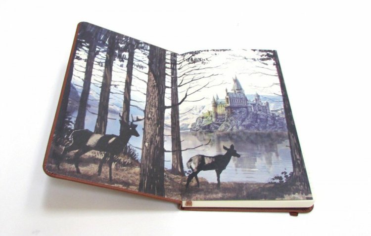Блокнот Harry Potter: Hogwarts Ruled Pocket Journal (Insights Journals) (Hardcover) Блокнот Harry Potter: Hogwarts Ruled Pocket Journal (Insights Journals) (Hardcover)