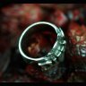 d3_ring3.jpg