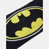 Рушник Бетмен Batman Logo Beach Towel 150 х 75 см.