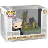 Фігурка Funko Harry Potter 20th Anniversary Minerva Mcgonagall with Hogwarts МакГонагал Хогвартс фанко 33 Фігурка Funko Harry Potter 20th Anniversary Minerva Mcgonagall with Hogwarts МакГонагал Хогвартс фанко 33