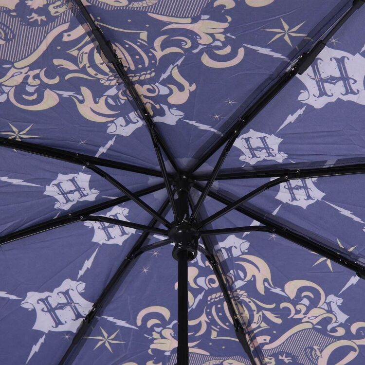 Парасолька Cerda Harry Potter Hogwarts Umbrella Blue