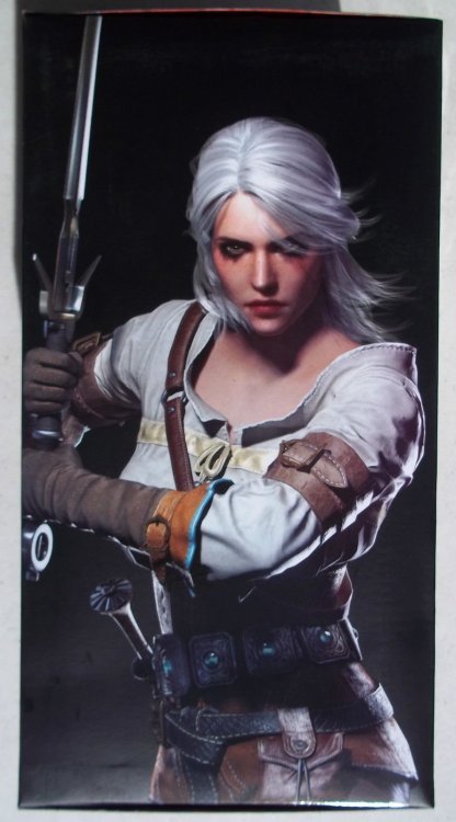 Фігурка Dark Horse Witcher 3 Wild Hunt - Ciri Figure Фігурка Dark Horse Witcher 3 Wild Hunt - Ciri Figure