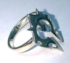 WP_20140306_15_04_56_Pro.jpg WP_20140306_15_04_56_Pro.jpg