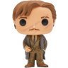 Фигурка Funko Pop Harry Potter: Remus Lupin Римус Люпин фанко 45